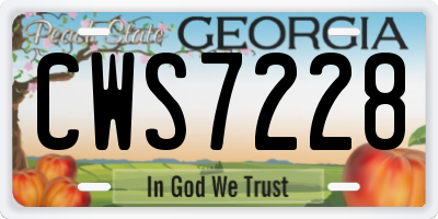 GA license plate CWS7228