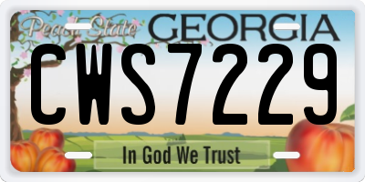 GA license plate CWS7229