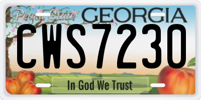 GA license plate CWS7230