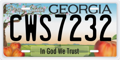 GA license plate CWS7232