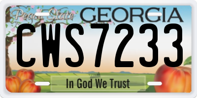 GA license plate CWS7233