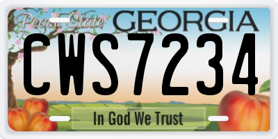 GA license plate CWS7234