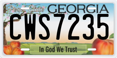GA license plate CWS7235