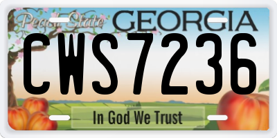 GA license plate CWS7236