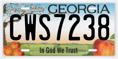 GA license plate CWS7238