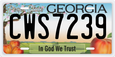 GA license plate CWS7239