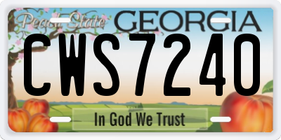 GA license plate CWS7240