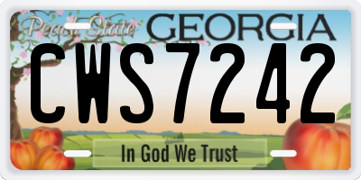 GA license plate CWS7242