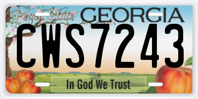 GA license plate CWS7243