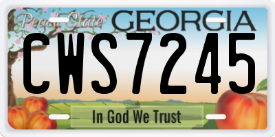 GA license plate CWS7245