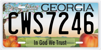 GA license plate CWS7246