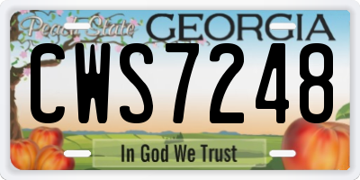 GA license plate CWS7248