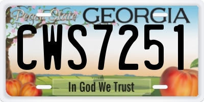 GA license plate CWS7251