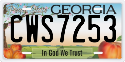 GA license plate CWS7253