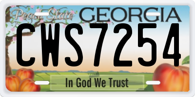 GA license plate CWS7254