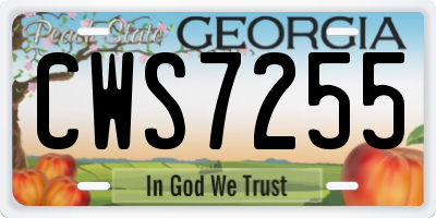 GA license plate CWS7255