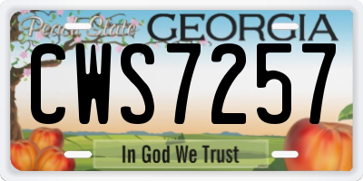 GA license plate CWS7257