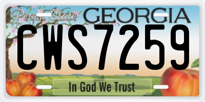GA license plate CWS7259