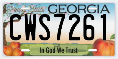 GA license plate CWS7261
