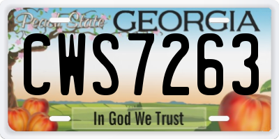 GA license plate CWS7263
