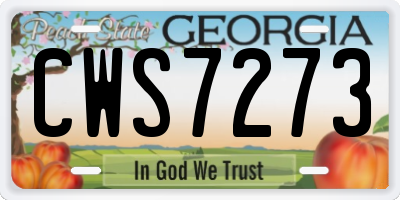 GA license plate CWS7273