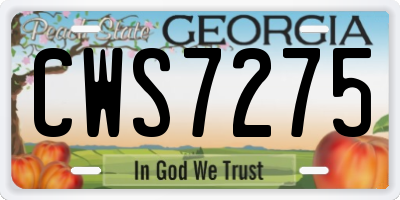GA license plate CWS7275
