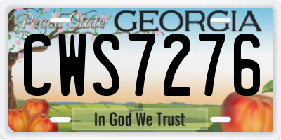 GA license plate CWS7276