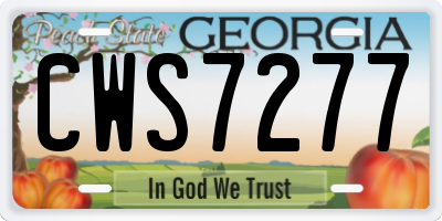 GA license plate CWS7277