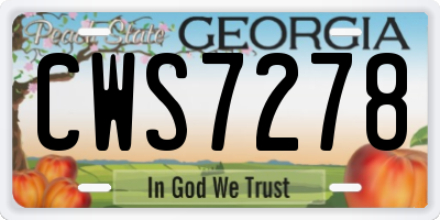 GA license plate CWS7278