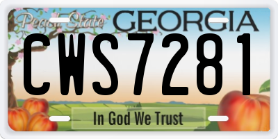 GA license plate CWS7281