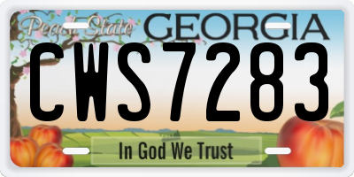 GA license plate CWS7283