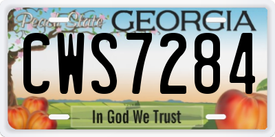 GA license plate CWS7284