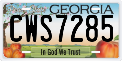 GA license plate CWS7285