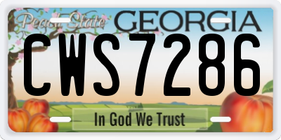 GA license plate CWS7286