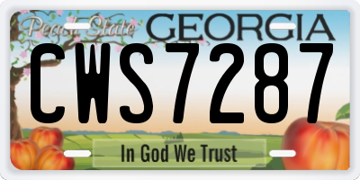 GA license plate CWS7287
