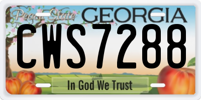 GA license plate CWS7288