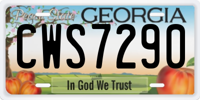 GA license plate CWS7290