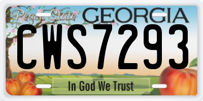 GA license plate CWS7293