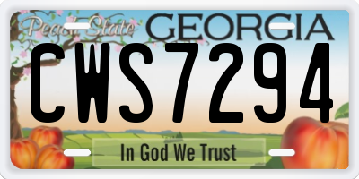 GA license plate CWS7294