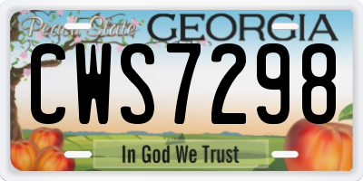 GA license plate CWS7298