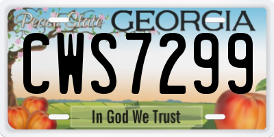 GA license plate CWS7299