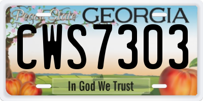 GA license plate CWS7303