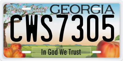 GA license plate CWS7305