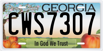 GA license plate CWS7307
