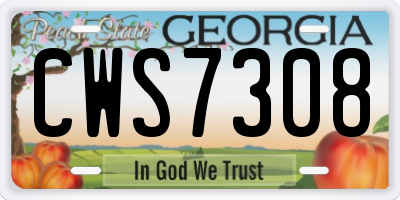 GA license plate CWS7308