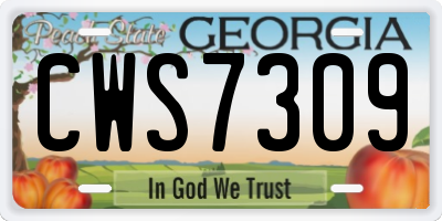 GA license plate CWS7309