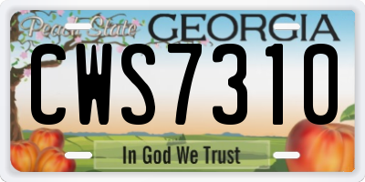 GA license plate CWS7310