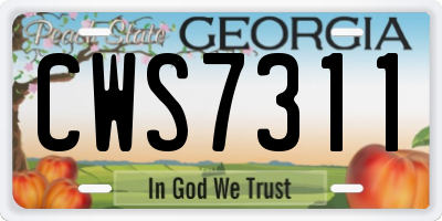 GA license plate CWS7311