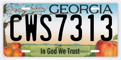 GA license plate CWS7313