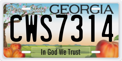 GA license plate CWS7314